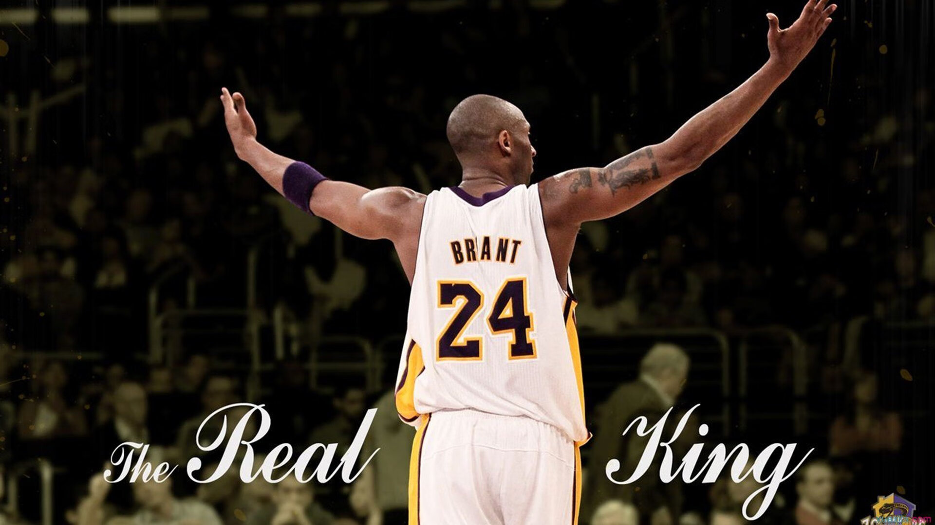 九游手游官网-“年度焦点战役，战术博弈见真章”，焦点博弈是啥